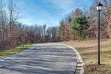 Lot 1 Forest Lake Trail - Photo 13