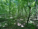 6885 Sr 66 - Photo 24
