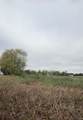 6520 460 S - Photo 4