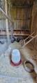 10251 New Philadelphia Road - Photo 5