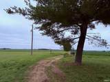 8600 Gross Road - Photo 13