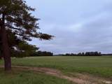 8600 Gross Road - Photo 15