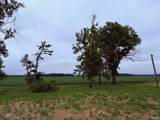 8600 Gross Road - Photo 17