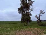 8600 Gross Road - Photo 18