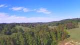 +/- 3.5 acres Chicken Farm Road - Photo 11