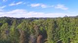 +/- 3.5 acres Chicken Farm Road - Photo 12