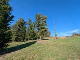 +/- 3.5 acres Chicken Farm Road - Photo 5