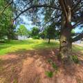 TBD Dewey Street - Photo 5