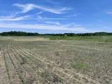 off Ziegler Road - Photo 14