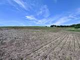 off Ziegler Road - Photo 19