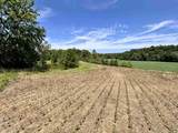 off Ziegler Road - Photo 23