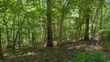 Lot 16 Bell Hollow Road - Photo 1