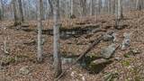 31 Poplar Ridge - Photo 5