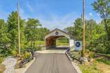 1606 Firefly Cove - Photo 5