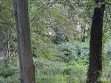 1577 Pelzer Road - Photo 9