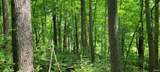 2740 Straight Line Road - Photo 10