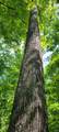 2740 Straight Line Road - Photo 7