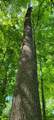 2740 Straight Line Road - Photo 8