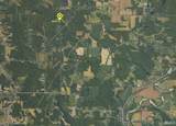 2699 Straight Line Road - Photo 11