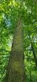 2699 Straight Line Road - Photo 8
