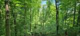 2699 Straight Line Road - Photo 9