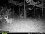 8623 Crum Road - Photo 8