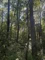6988 Phillips Road - Photo 14