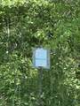 6988 Phillips Road - Photo 7