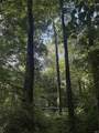 0000 Phillips Road - Photo 10