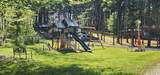 360 Timber Pass - Photo 15