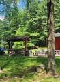 360 Timber Pass - Photo 19