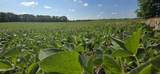 972 300 W Road - Photo 4