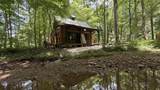 7521 County Road 1150 - Photo 3