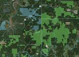 7521 County Road 1150 - Photo 21
