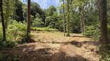 7521 County Road 1150 - Photo 5