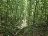 8025 Fish Road - Photo 6