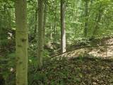 8025 Fish Road - Photo 8