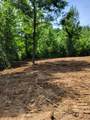 000 Chestnut Grove Road - Photo 2