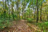 66561 Conrad Road - Photo 6