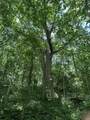 4645 West County Line Road - Photo 4