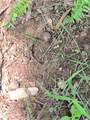 2500 S Coalmine Lot 2 Road - Photo 12