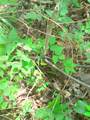 2500 S Coalmine Lot 2 Road - Photo 13