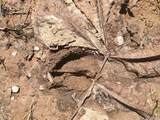 2500 S Coalmine Lot 2 Road - Photo 14