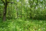 2510 Whitney Road - Photo 20