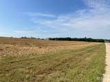 3.75 Acres Bierhaus Boulevard - Photo 3