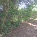  Bachelor Road - Photo 9