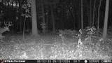 2442 County Road 38 Road - Photo 10