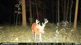 2442 County Road 38 Road - Photo 11