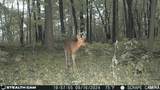 2442 County Road 38 Road - Photo 8