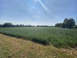 4699 Hwy 62 W Highway - Photo 13